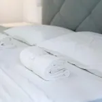 Апартаменты Luxury Sarpi Chinatown *