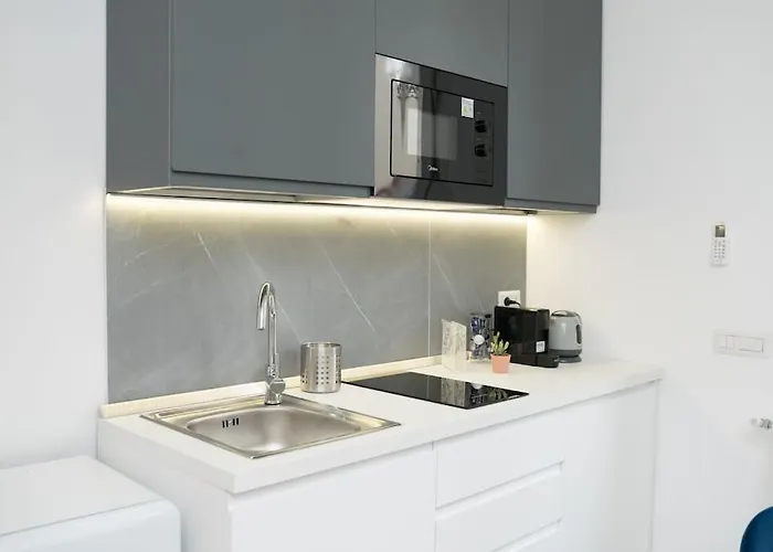 Lejlighed Luxury Sarpi Chinatown